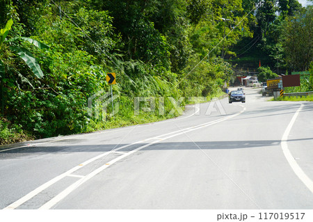 Beautiful Scenic Beauty of North Bengal Road and Nature 8 117019517