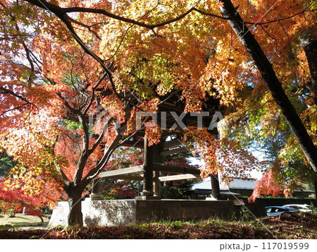 紅葉が美しい松戸市の東漸寺（鐘楼付近） 117019599