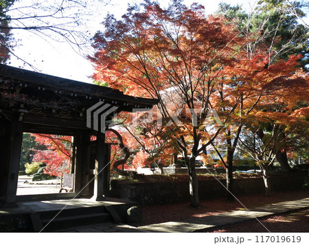 紅葉が美しい松戸市の東漸寺（中雀門付近） 117019619