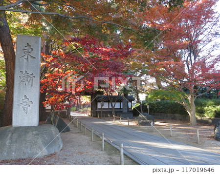 紅葉が美しい松戸市の東漸寺（寺号標・参道・総門） 117019646