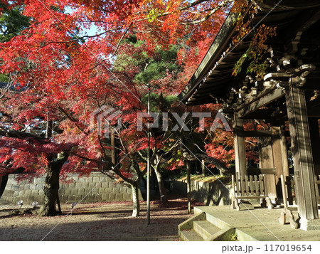 紅葉が美しい松戸市の東漸寺（中雀門・鐘楼付近） 117019654