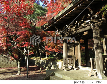 紅葉が美しい松戸市の東漸寺（中雀門付近） 117019655