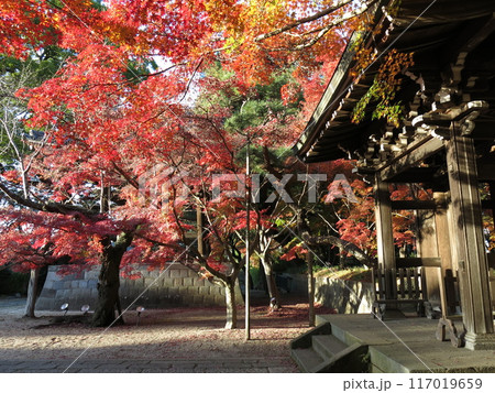 紅葉が美しい松戸市の東漸寺(中雀門・鐘楼付近) 紅葉が美しい松戸市の東漸寺(中雀門・鐘楼付近) 117019659