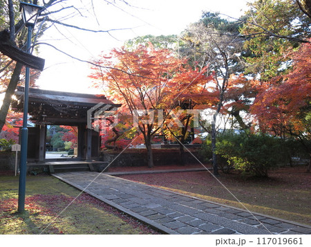 紅葉が美しい松戸市の東漸寺(中雀門付近) 紅葉が美しい松戸市の東漸寺(中雀門付近) 117019661