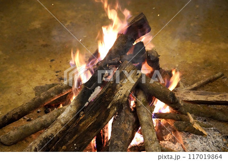 Bonfire During North Bengal Tour Bonfire During North Bengal Tour 117019864
