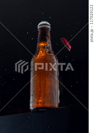 Cold beer bottle Cold beer bottle 117020122