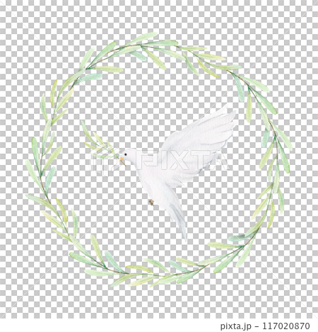 Watercolor white dove and olive branches. White birds in laurel wreath. Pigeon clip art. Hand drawn illustration isolated on background. Decorative design elements Watercolor white dove and olive branches. White birds in laurel wreath. Pigeon clip art. Hand drawn illustration isolated on background. Decorative design elements 117020870