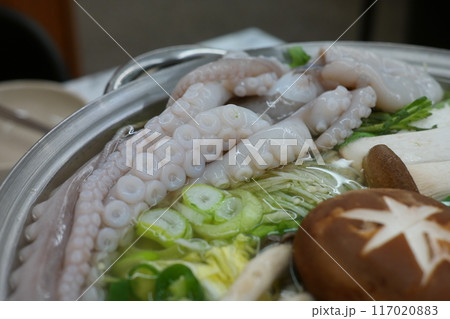 Korean style hot pot with octopus, mushrooms and vegetables Korean style hot pot with octopus, mushrooms and vegetables 117020883