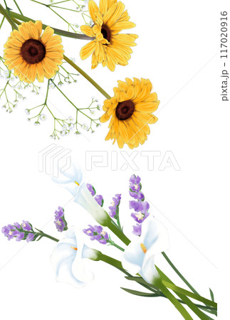 水彩で描いた花の装飾セット 117020916