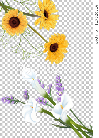 水彩で描いた花の装飾セット 117020916