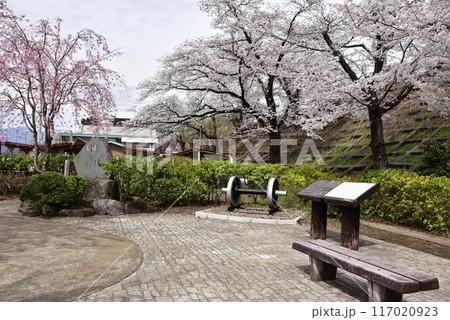 甲州市　旧勝沼駅の勝沼鉄道遺産記念公園（甚六桜公園）の展示車輪と満開桜 117020923