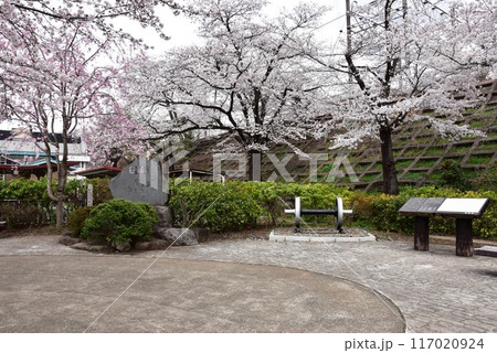 甲州市　旧勝沼駅の勝沼鉄道遺産記念公園（甚六桜公園）の保存車輛（電気機関車）と満開桜 117020924