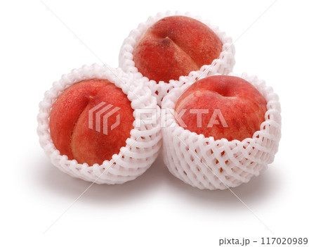 福島産の桃 あかつき 福島産の桃 あかつき 117020989