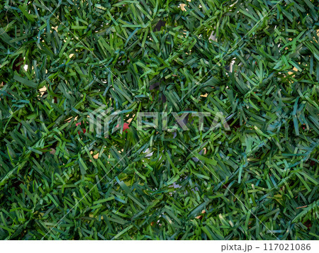 Artificial greenery. Artificial grass background. Plastic greenery on a wire fence. Decorations in the yard Artificial greenery. Artificial grass background. Plastic greenery on a wire fence. Decorations in the yard 117021086