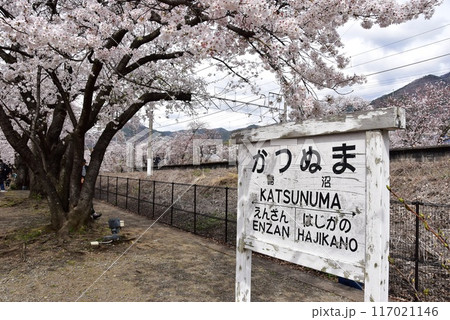 甲州市　旧勝沼駅の勝沼鉄道遺産記念公園（甚六桜公園）散策路と満開桜 117021146