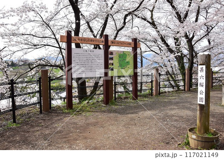 甲州市 旧勝沼駅の勝沼鉄道遺産記念公園(甚六桜公園)散策路と満開桜 甲州市 旧勝沼駅の勝沼鉄道遺産記念公園(甚六桜公園)散策路と満開桜 117021149