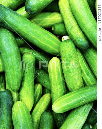 Background of many small type of cucumbers, fill the frame with cucumbers, vertical image. 117021358