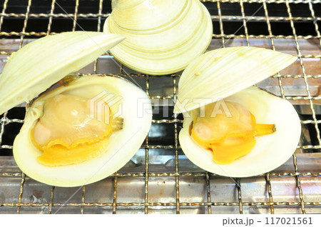 ホンビノス貝を焼く ホンビノス貝を焼く 117021561