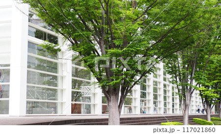 大分県立美術館 OPAM 117021860