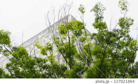 大分県立美術館 OPAM 大分県立美術館 OPAM 117021864