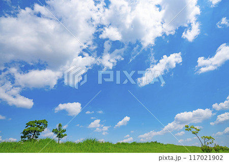 夏の青空と草原 117021902