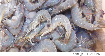 close up fresh shrimps from top view ready for sale at the market, shrimps background with copy space 117021928