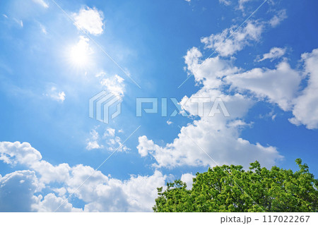 夏の雲と木立と太陽 117022267