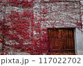 赤い蔦の這う壁 117022702