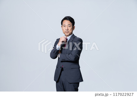 エグゼクティブなビジネスマン 117022927
