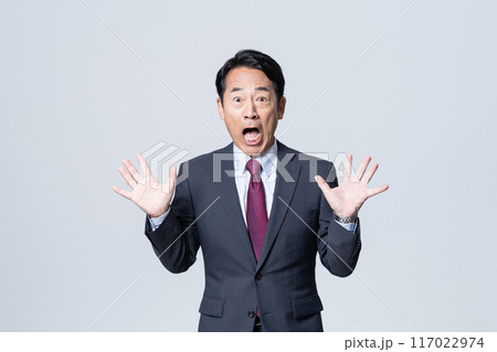 エグゼクティブなビジネスマン 117022974