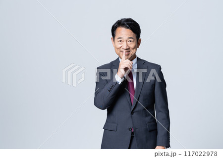 エグゼクティブなビジネスマン 117022978