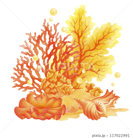 The seabed with corals, shells, seaweed and bubbles. Underwater world watercolor illustration. Isolated composition for summer or beach prints, menus, postcards, posters decoration, t-shirts design 117022991