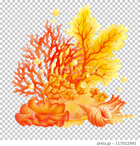 The seabed with corals, shells, seaweed and bubbles. Underwater world watercolor illustration. Isolated composition for summer or beach prints, menus, postcards, posters decoration, t-shirts design 117022991