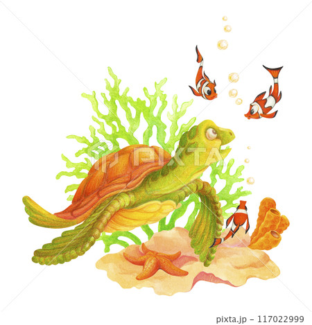 Underwater world with sea turtle, clown fish, starfish, corals,  algae and bubbles. Hand drawn Seabed clipart. Isolated composition for summer or beach design, postcards, posters, t-shirts prints 117022999