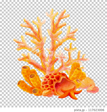 Underwater simple composition. Coral Reef with starfish and stones on a seabed. Hand drawn illustration of sea floor isolated on white background. Marine watercolor with corals and sea sponges Underwater simple composition. Coral Reef with starfish and stones on a seabed. Hand drawn illustration of sea floor isolated on white background. Marine watercolor with corals and sea sponges 117023006