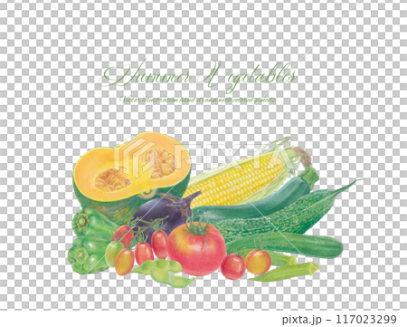 手繪夏季蔬菜的向量圖解 117023299