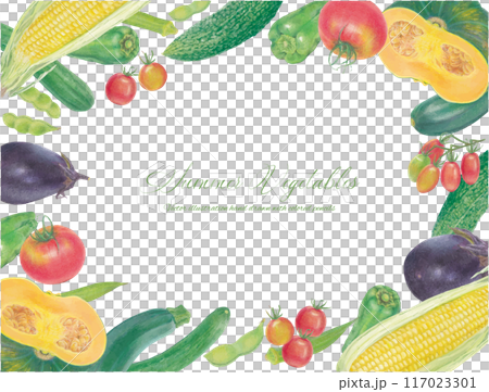 手繪夏季蔬菜的向量圖框架 手繪夏季蔬菜的向量圖框架 117023301