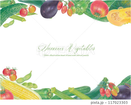 手書きの夏野菜のベクターイラストフレーム 117023303