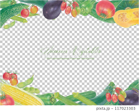 手書きの夏野菜のベクターイラストフレーム 117023303