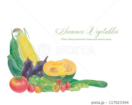 手書きの夏野菜のベクターコーナーフレーム 117023304