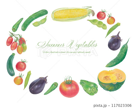 手書きの夏野菜のベクターイラストフレーム 117023306