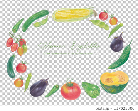 手書きの夏野菜のベクターイラストフレーム 117023306
