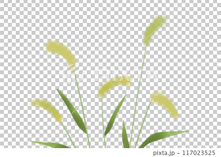 因紐特草、逗貓卡1 117023525