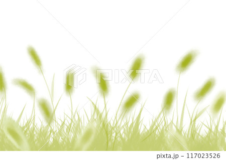 狗尾草(エノコログサ)、猫じゃらしのカード2 狗尾草(エノコログサ)、猫じゃらしのカード2 117023526