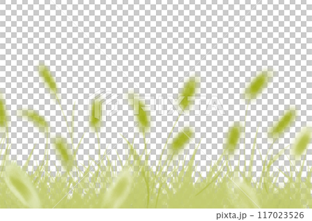 狗尾草(エノコログサ)、猫じゃらしのカード2 狗尾草(エノコログサ)、猫じゃらしのカード2 117023526