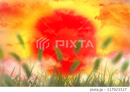 狗尾草（エノコログサ）、猫じゃらしと夕焼けのカード 117023527