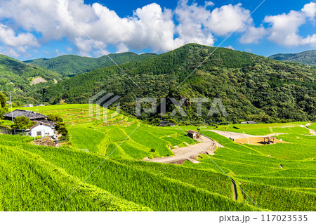 新緑の大中尾棚田　【長崎市】 117023535