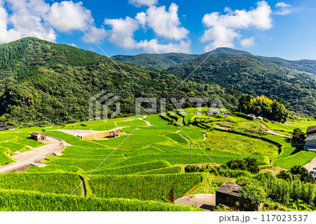 新緑の大中尾棚田　【長崎市】 117023537
