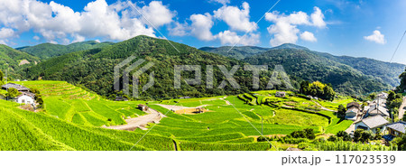 新緑の大中尾棚田　パノラマ　【長崎市】 117023539