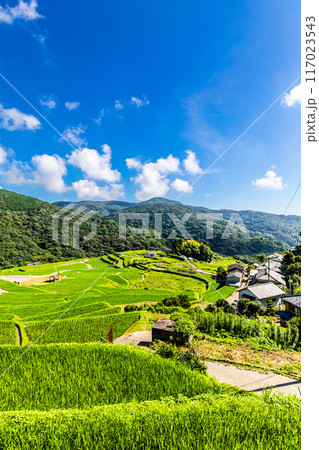 新緑の大中尾棚田　【長崎市】 117023543